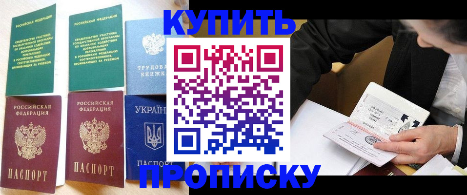 прописка для школы в Барыше